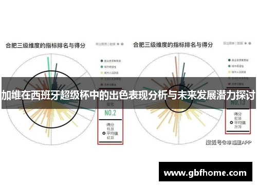 加维在西班牙超级杯中的出色表现分析与未来发展潜力探讨